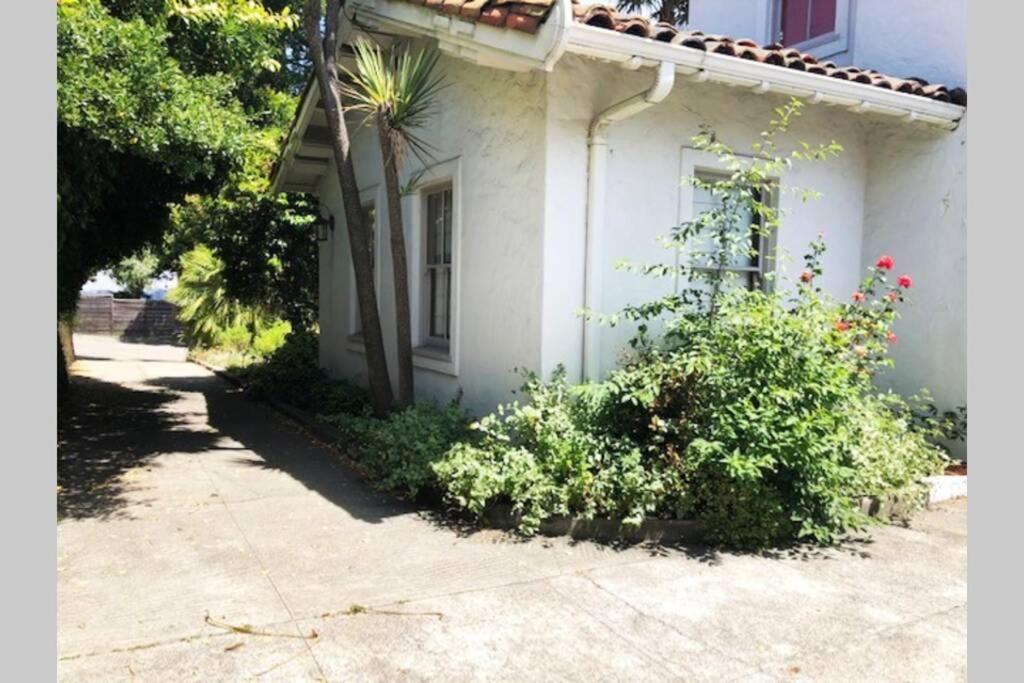 Elegant Spacious Private Studio ~ Upscale Berkeley Eksteriør billede