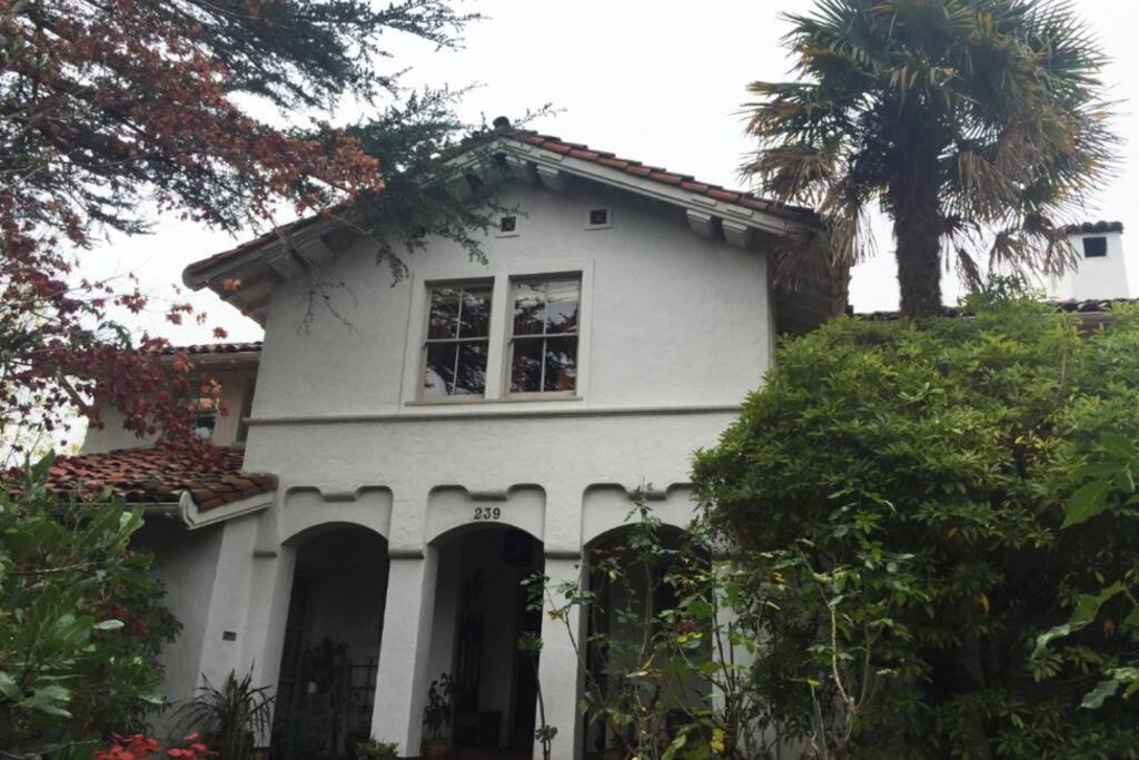 Elegant Spacious Private Studio ~ Upscale Berkeley Eksteriør billede